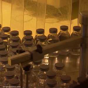 بدء التجارب السريرية للقاح مصري لفيروس كورونا