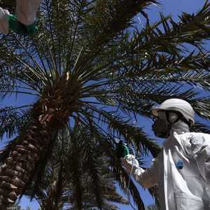 قطاع الزراعة له أهمية كبيرة في الإمارات