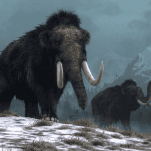 رسم تقريبي لحيوان الماموث