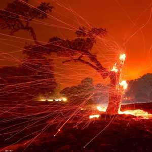 مساحة حرائق كاليفورنيا الأكبر منذ 33 عاما