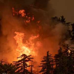 حرائق كاليفورنيا أتت على مساحات واسعة من الغابات