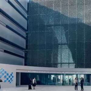 "جامعة محمد بن زايد للذكاء الاصطناعي"