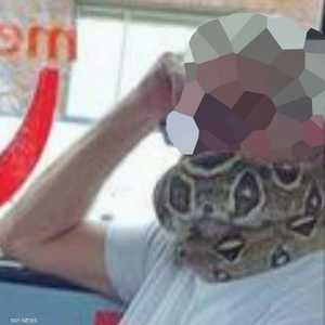 رجل يلف ثعبانا على وجهه ورقبته بدلا من الكمامة