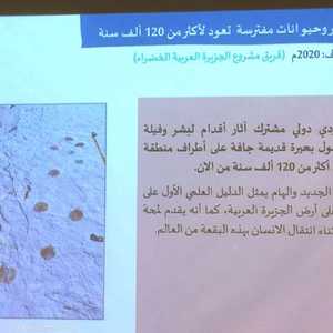 السعودية.. اكتشاف أثري يعود لـ120 ألف سنة