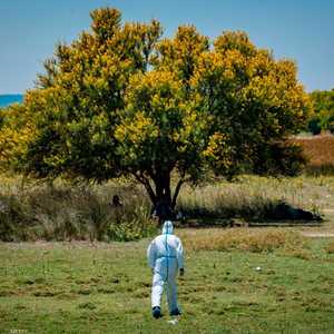 دفع الهلع أشخاصا إلى سلك طريق التداوي بالأعشاب