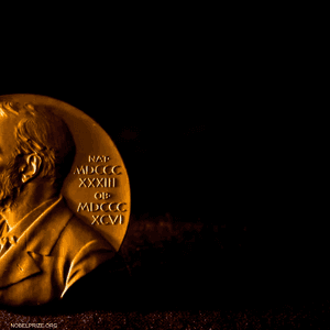 ستزيد قيمة الجائزة هذا العام إلى 10 ملايين كورونة