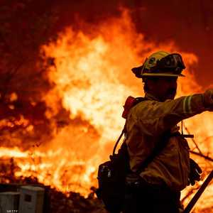 أتت النيران على نحو 1200 فدان من السفوح والتلال