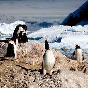 شبه جزيرة أنتركتيكا تشهد أعلى معدلات حرارة منذ ثلاثة عقود