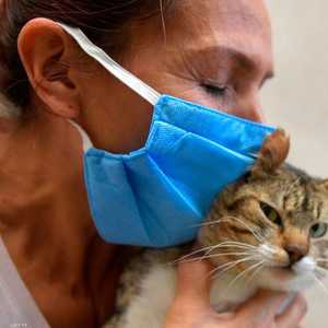 الدراسة أجريت في الولايات المتحدة