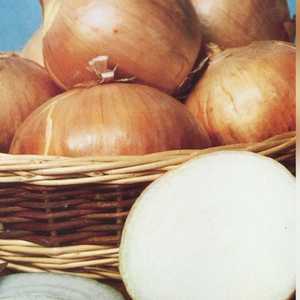 البصل الذي ظهر في إعلان فيسبوك