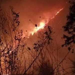 تجدد النيران في عدد من المناطق بسوريا