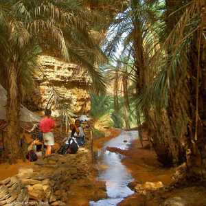 لدى موريتانيا العديد من الأماكن السياحية