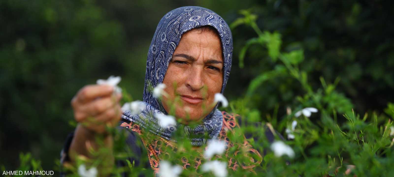 70 في المئة من العمال في مزارع قرية شبرا بلولة نسا