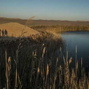 واحة سيوة وجهة سياحية مميزة