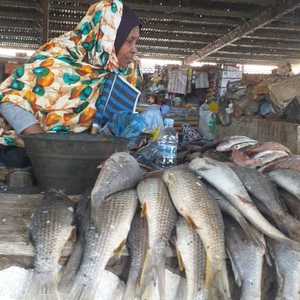 تتوفر موريتانيا على أحد أغنى الشواطئ في الأسماك