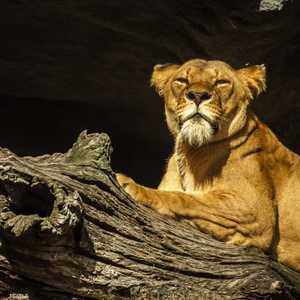 طالب معلقون بضرورة تدخل السلطات