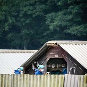 مزرعة في هولندا - أرشيفية