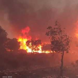 تم إرسال أكثر من 53 رجل إطفاء من العاصمة لإطفاء الحرائق