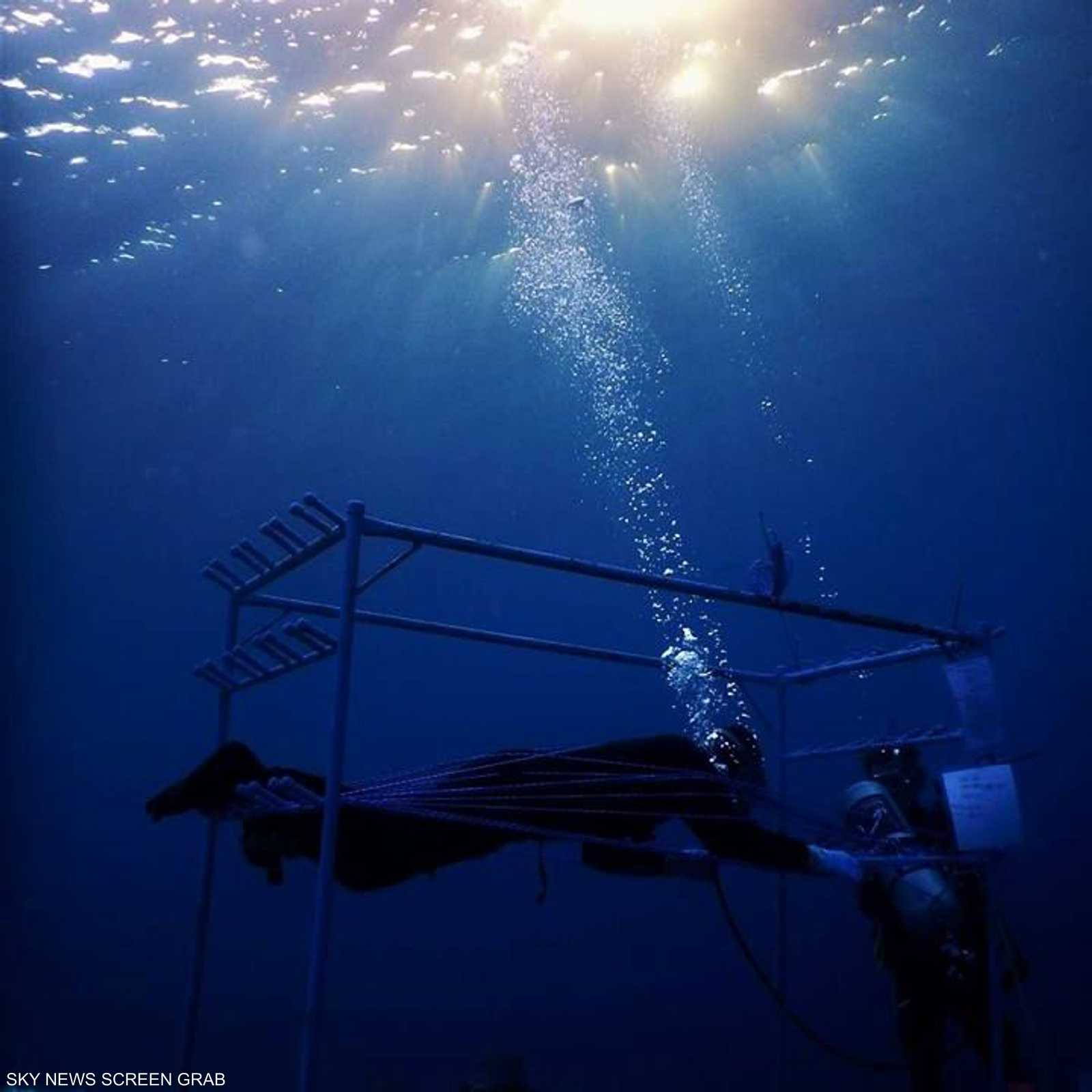 من تجربة 2017