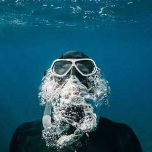 الكيلاني في طريقه إلى موسوعة غينيس