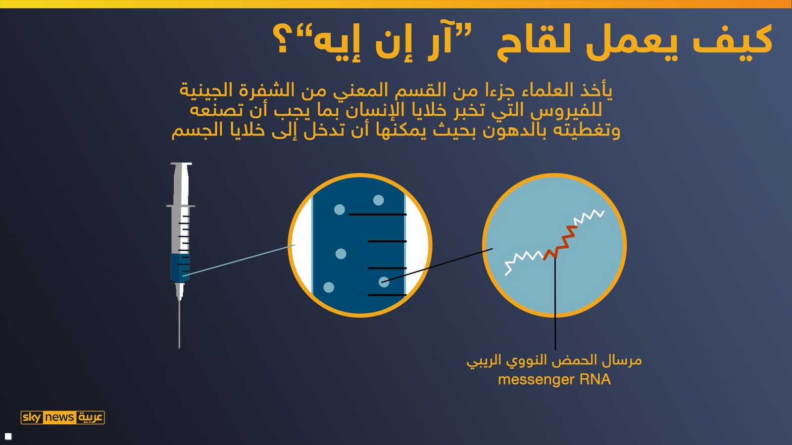 كيفية التوصل للقاح