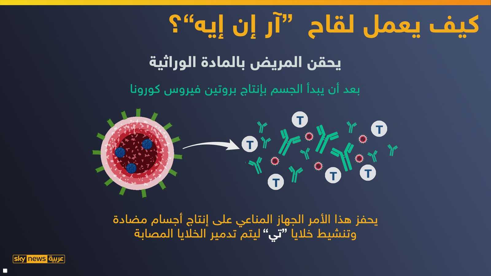 كيف يعمل اللقاح؟