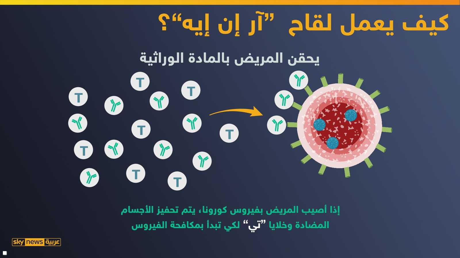 خلايا تي وسبايك