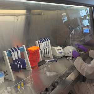 العالم يتعطش لأي أخبار إيجابية بشأن لقاح كورونا