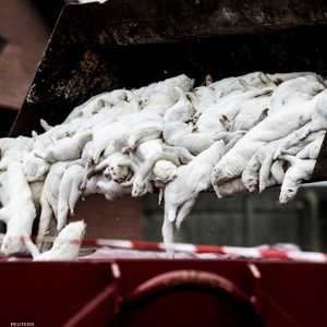 الدنمارك اتخذت القرار رغم تحفظات سياسية