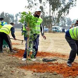 تتضمن المباردة غرس شتلات في جميع غابات الجزائر