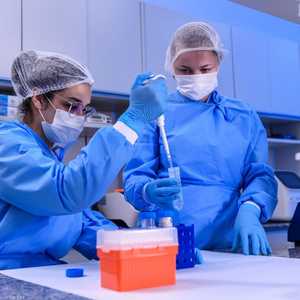 يواصل العلماء أبحاثهم للتوصل للقاح يقضي على فيروس كورونا