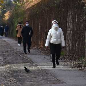 كوريا الجنوبية تسجل 583 إصابة جديدة بكورونا