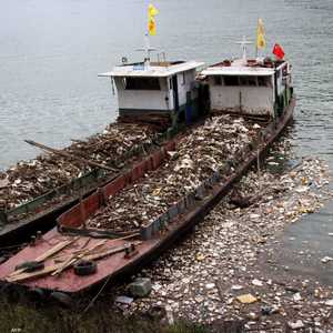 بكين تخشى من عدم إمكانية إعادة تدوير القمامة. (صورة تعبيرية)