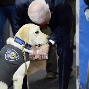 بايدن مع كلبه