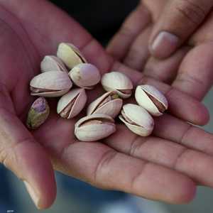 تحمي المكسرات الكبد من الالتهابات والإجهاد التأكسدي