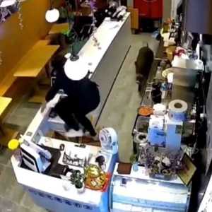 خنزير يروع متجرا صينيا