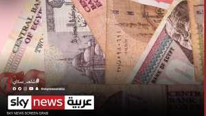 السيولة في البنوك المصرية حائط الصد في مواجهة كورونا