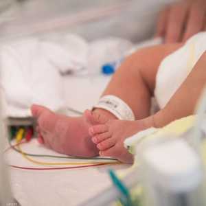 تناول الأطعمة البروتينية خطير على مرضى الـ"بي كي يو" - أرشيف