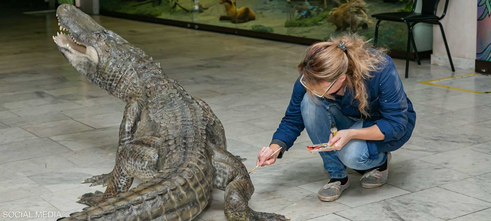 توفي التمساح عن عمر 84 عاما