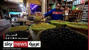 انخفاض إنتاج الزيتون شمالي سوريا هذا العام