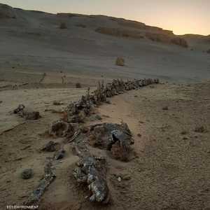 تم إدراج وادى الحيتان عام 2018 في القائمة الخضراء للمحميات