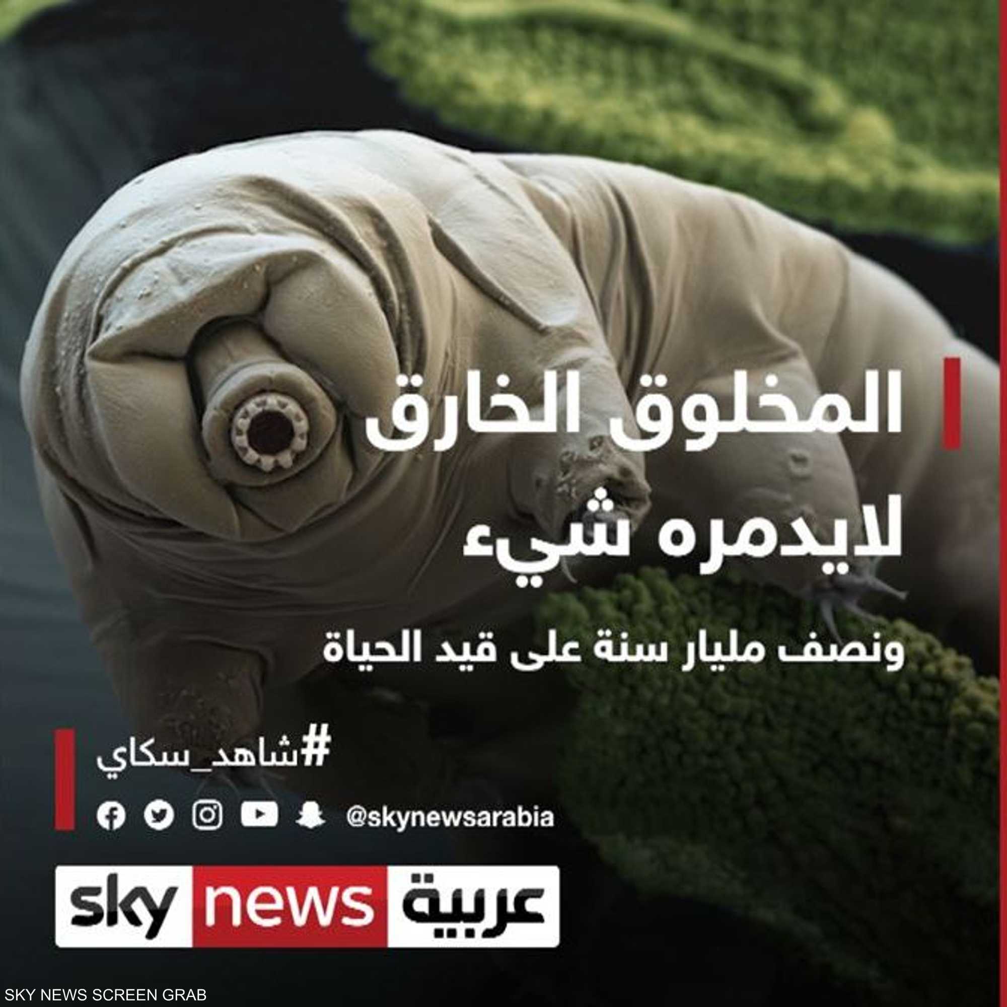 المخلوق الخارق..نصف مليار سنة على قيد الحياة ولا يمكن تدميره