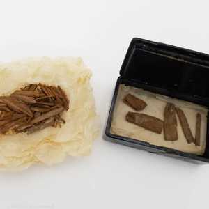 شظايا الخشب الأثري المكتشف في جامعة أبردين