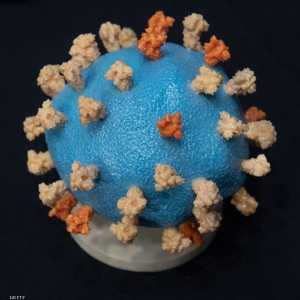 لم يفت الأوان بعد على احتواء انتشار النوع المتحور من كورونا