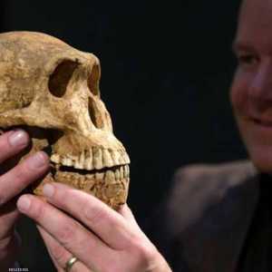 السبات الشتوي بين البشر كان قبل مئات الآلاف من السنين