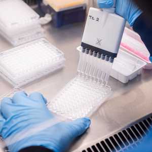 العلماء يقولون إن السلالة الجديدة أسرع انتشارا