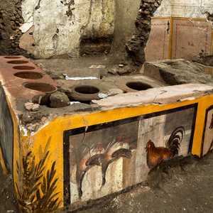 رسومات للحيوانات والطيور التي كانت تطبخ