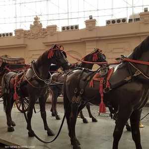 محاكاة الشارع المصري خلال الملكية