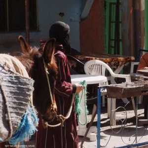 الفيلم إنتاج مشترك بين المغرب وفرنسا