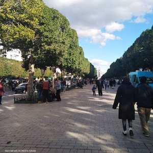 الحركة بدت عادية في شوارع تونس العاصمة